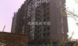 九龙小区爆料事件最新,揭秘事件背后惊人真相