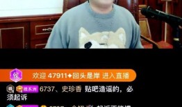 小洲被人爆料视频大全最新,揭秘网络爆料背后的真相与争议