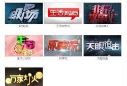 广东公共频道在线观看,在线观看，尽享精彩瞬间