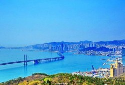 大连泉溪爆料事件最新,真相与争议交织的舆论漩涡