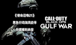 海湾战争爆料视频,揭秘爆料的震撼瞬间